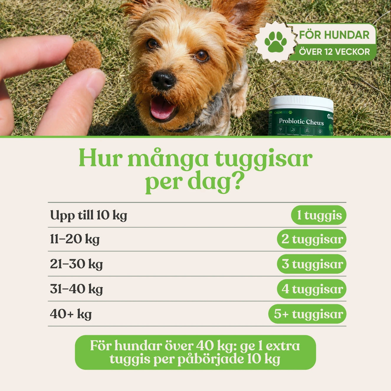 Probiotika