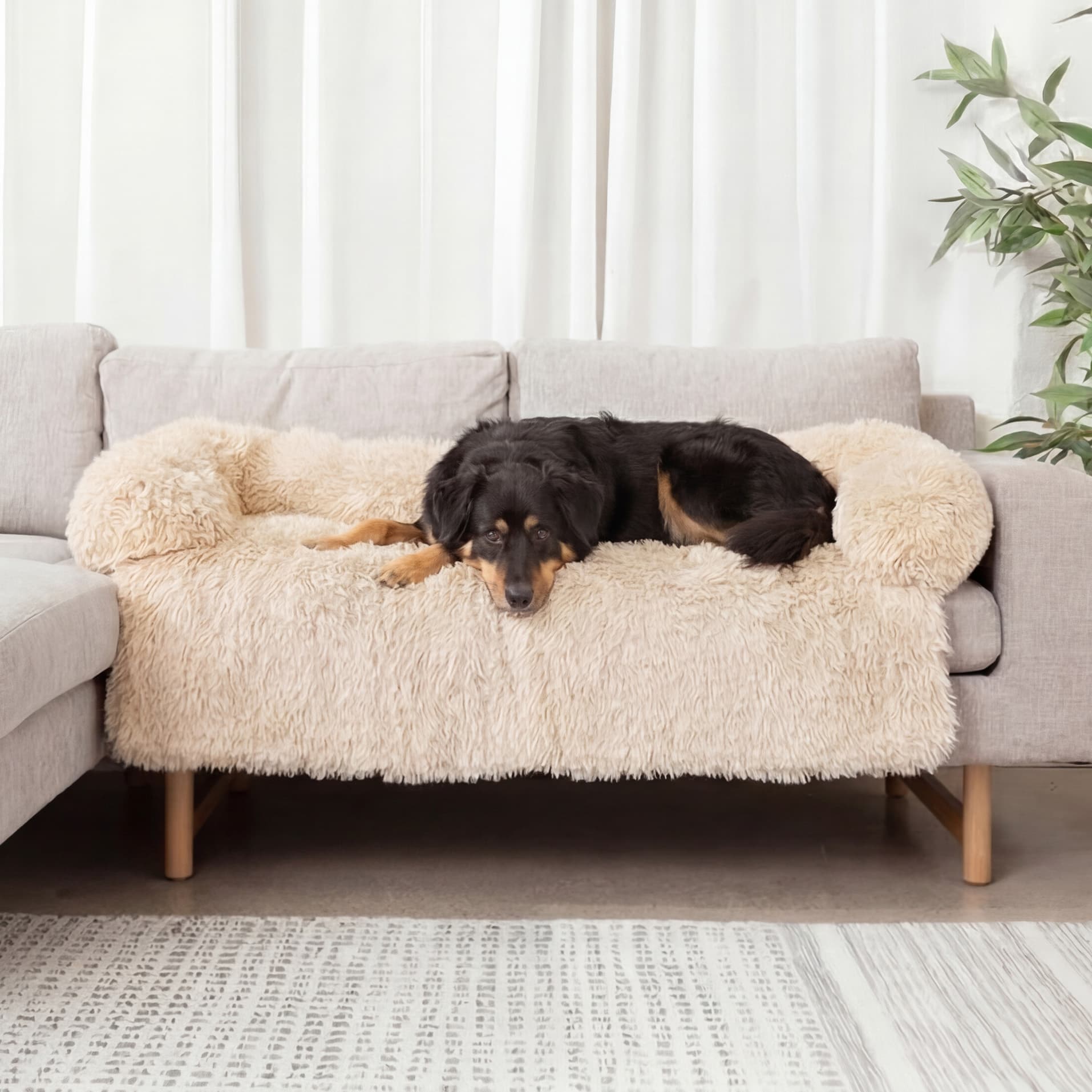 CalmCouch - Motverkar ångest & skyddar din soffa