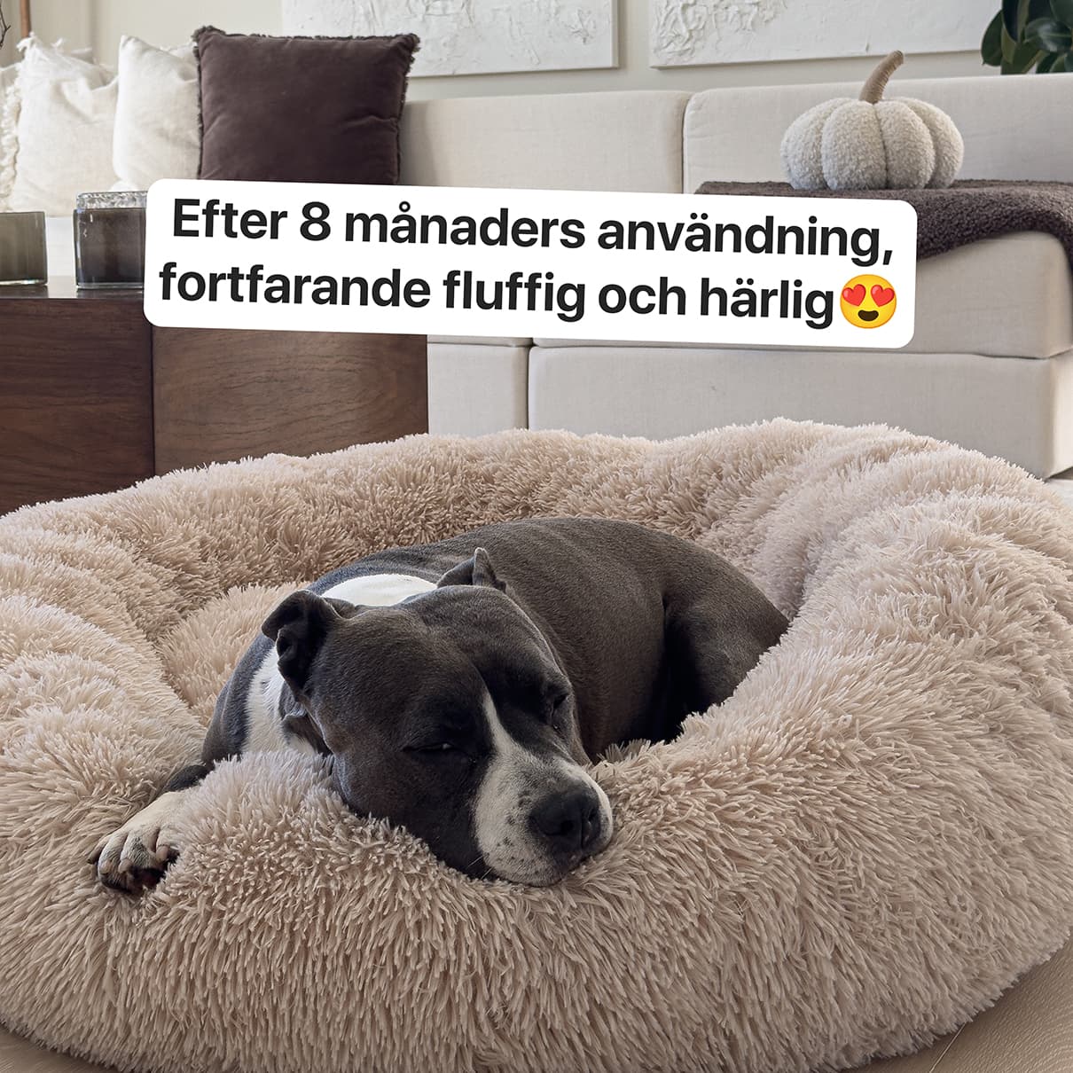 Den håller formen – även efter månader av användning