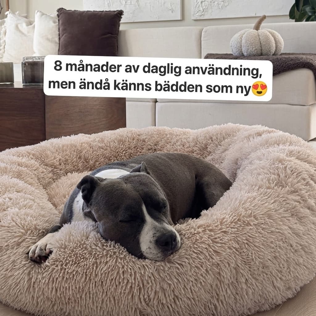 Komforten som aldrig försvinner