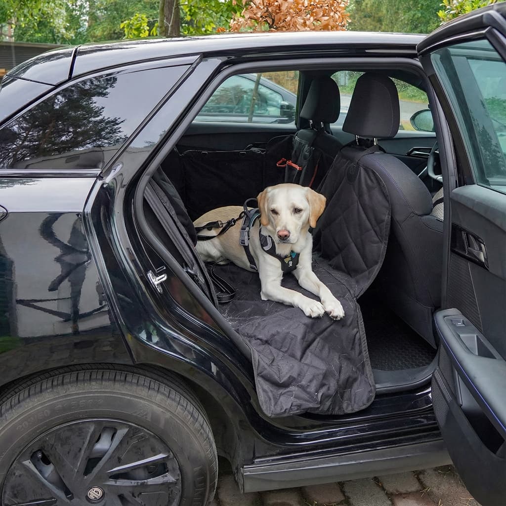 En ren bil – även när hunden följer med.