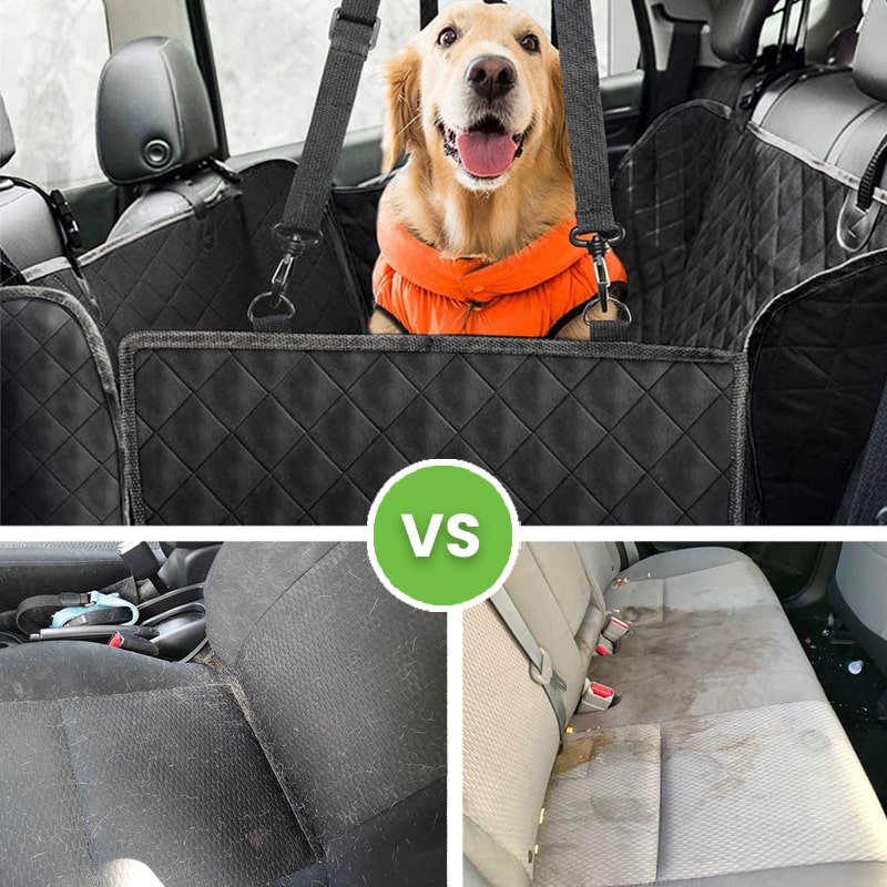 Video/image with descriptive text