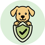 Feature icon