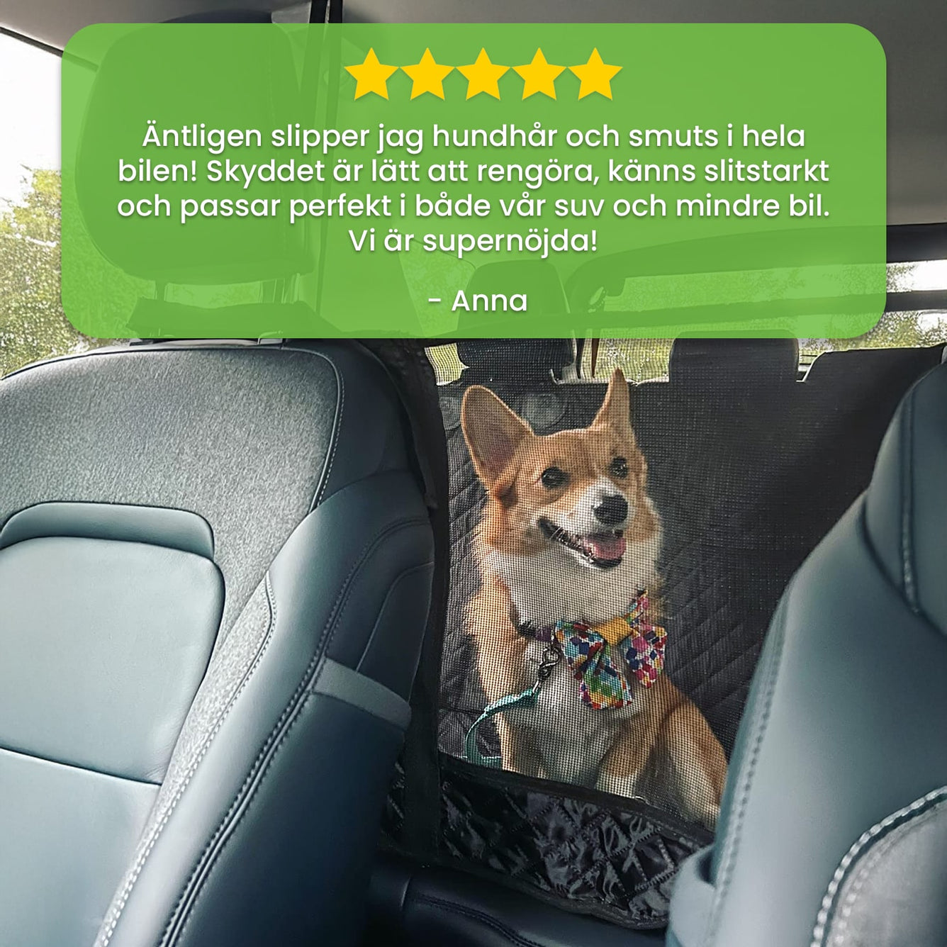 Bilsätesskydd