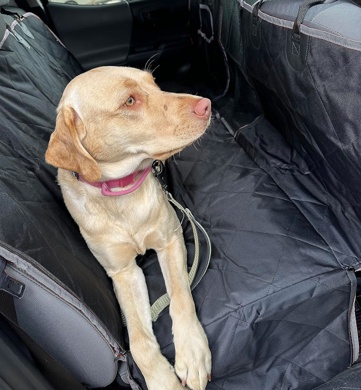 Ljus hund som ligger på ett svart baksätesskydd med sidovingar i baksätet på en bil