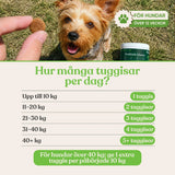 Probiotika