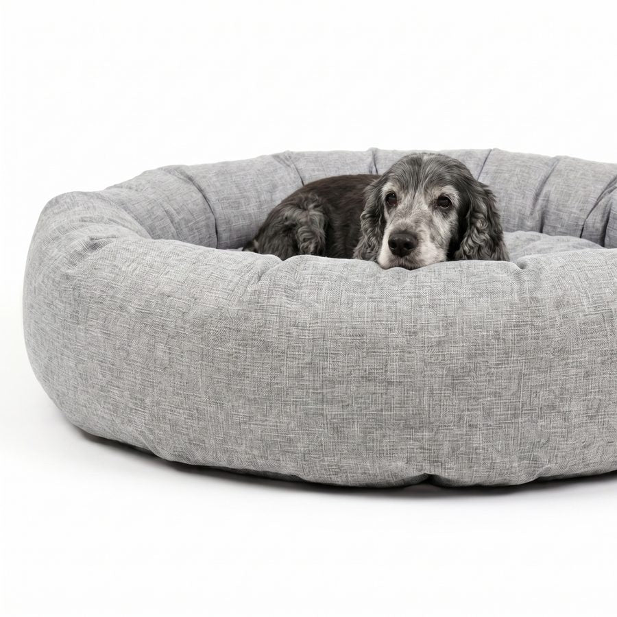 Äldre cocker spaniel som ligger bakom den upphöjda kanten i en rund, pälsfri hundbädd