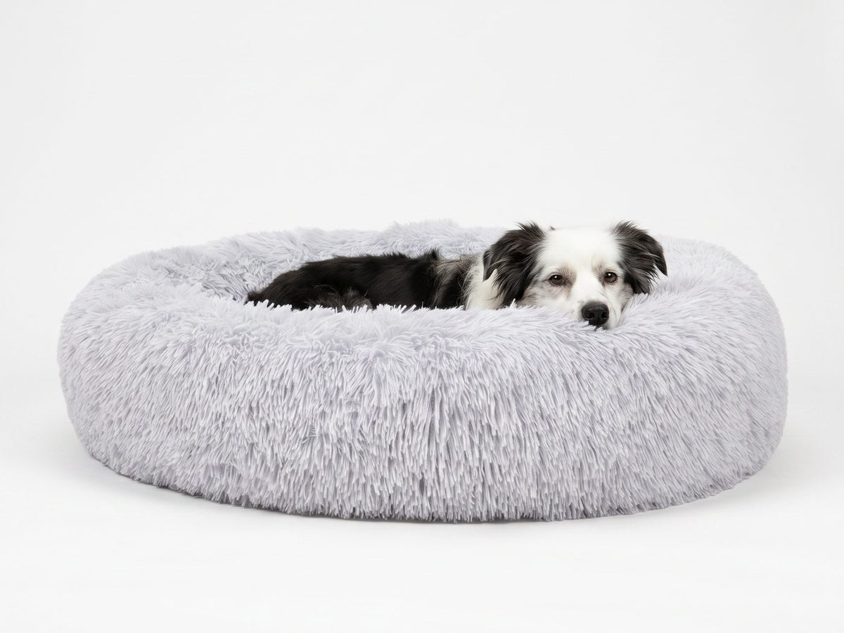 Border collie som vilar huvudet mot kanten på en fluffig, ljusgrå hundbädd