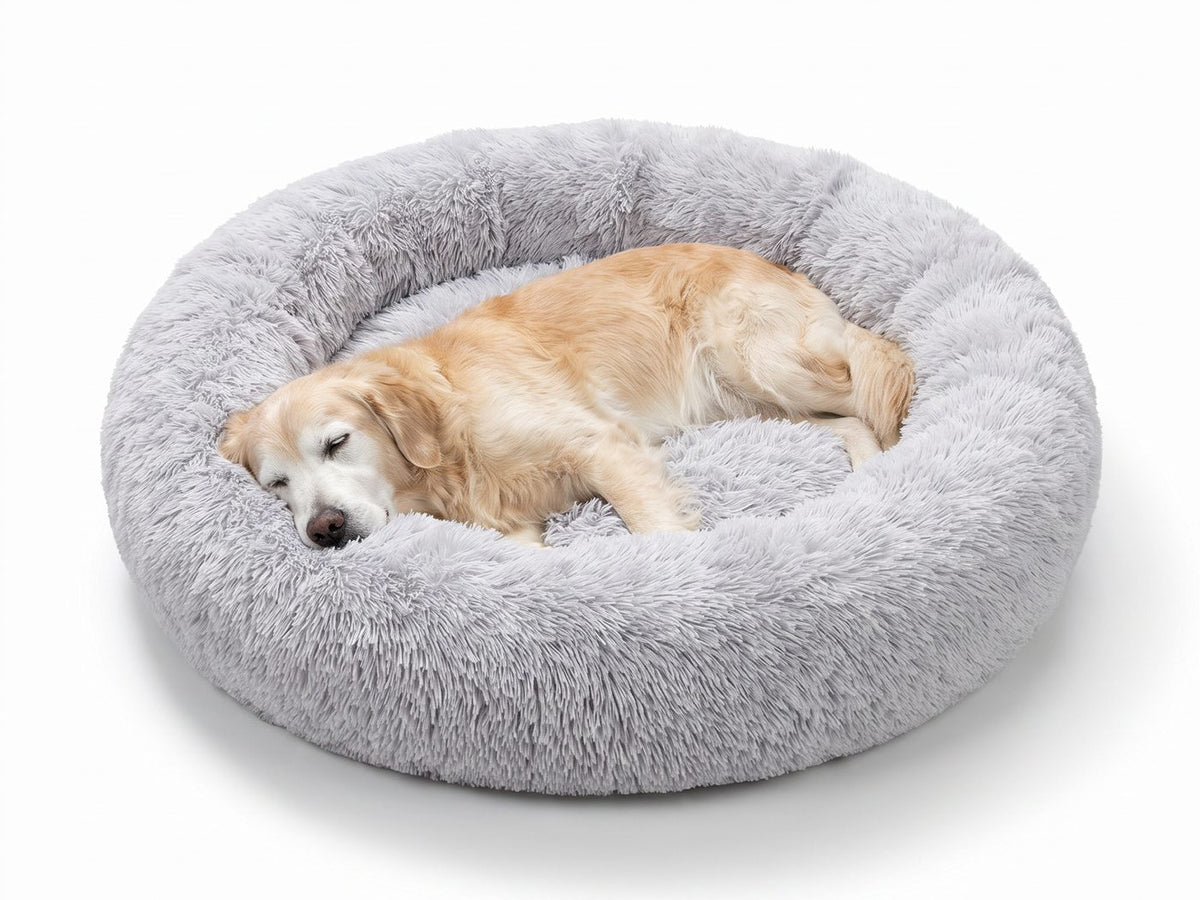 Äldre golden retriever med vit nos som sover i en rund, ljusgrå hundbädd
