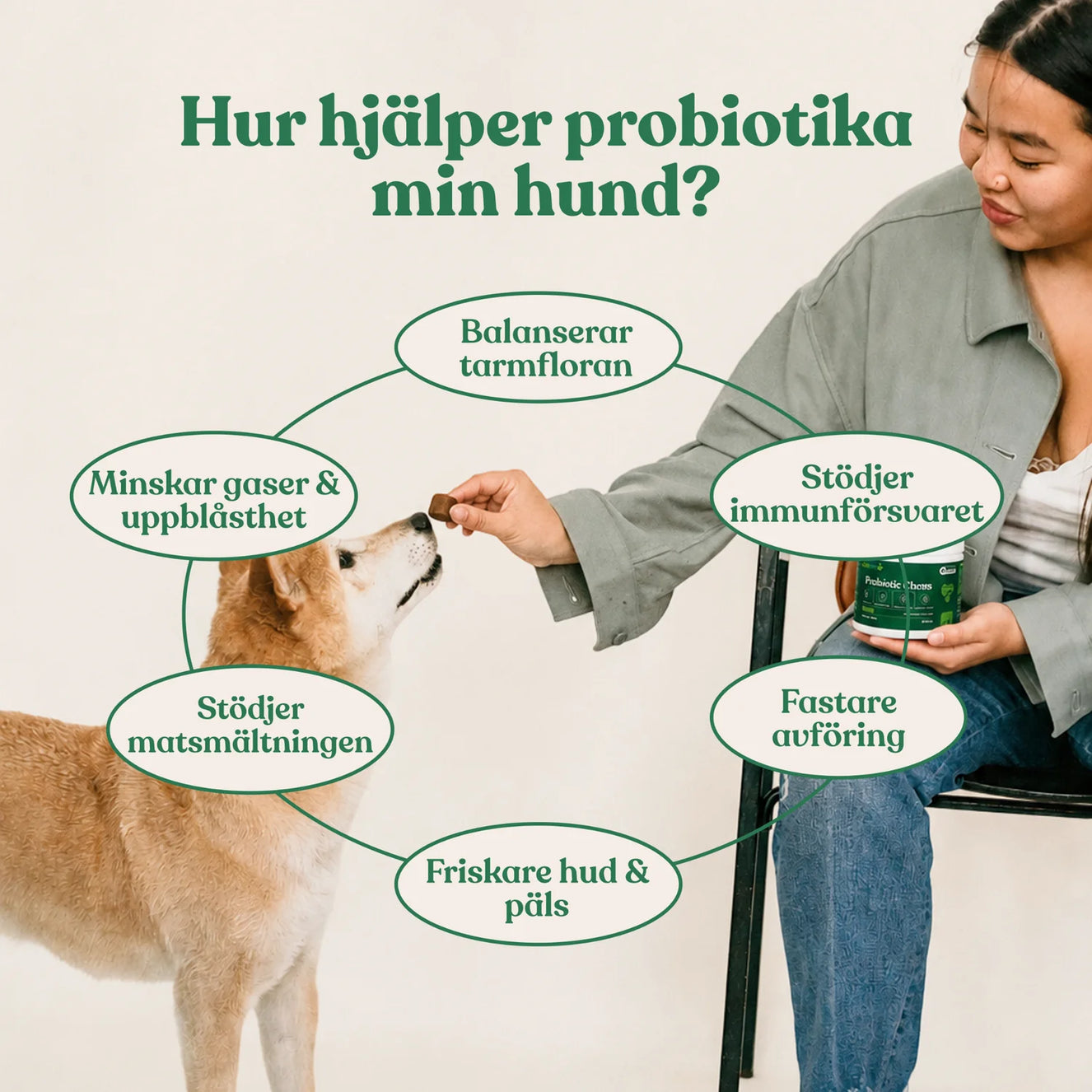 Probiotika