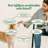 Probiotika