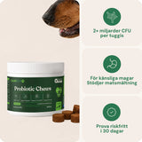 Probiotika