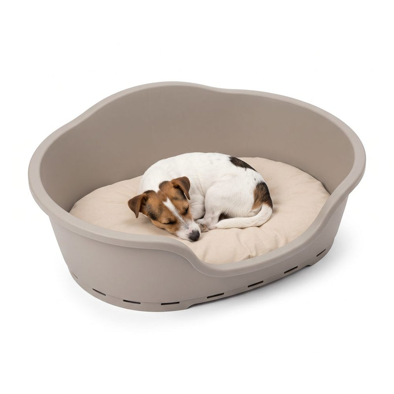 Jack russell som sover hopkurad på en dyna i en grå hundkorg av plast