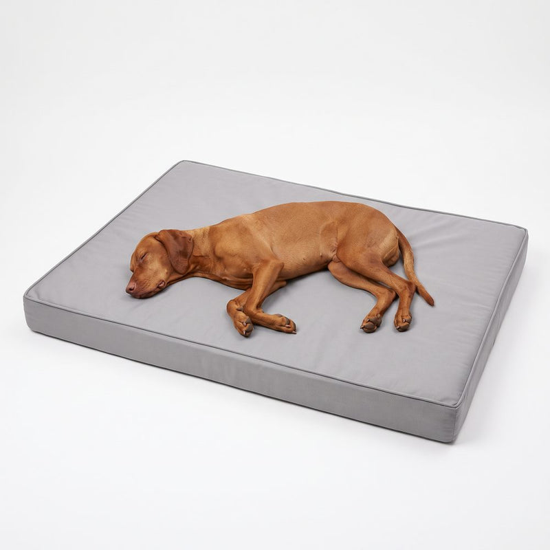 Vizsla som sover utsträckt på en platt, rektangulär hundmadrass
