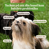 Probiotika