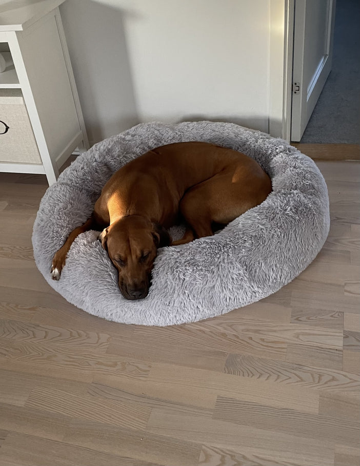 Malin K., Linköping