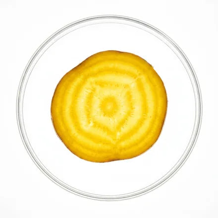 Prebiotika