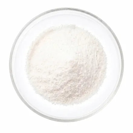 Probiotika