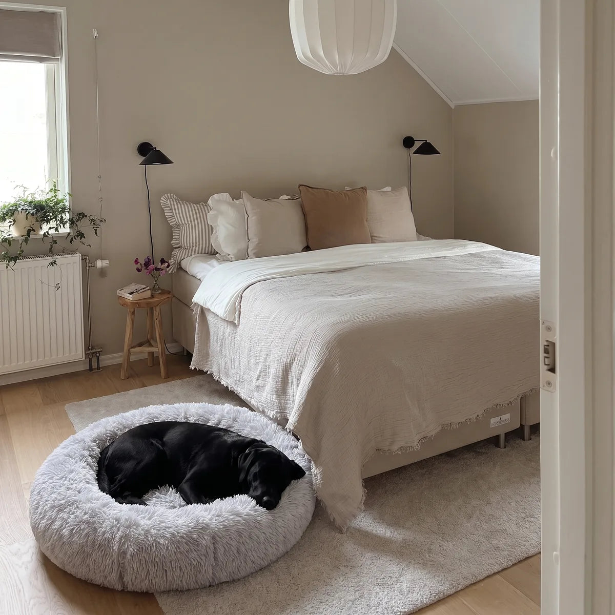 Ludde i sin CalmBed i dag, i vila, med vardagsdetaljer i bakgrunden